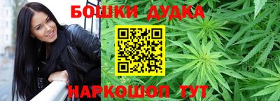МДПВ Пенза