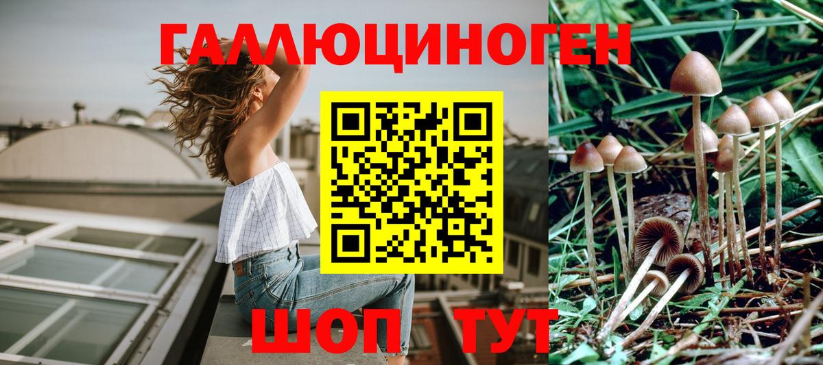 Ступино  Псилоцибиновые грибы прущие грибы  Вход с VPN  Галлюциногенные грибы GOLDEN TEACHER 